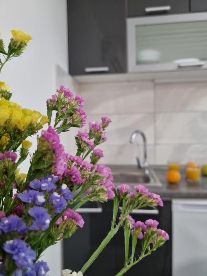 Studio Apartment Rosalie Split Luaran gambar